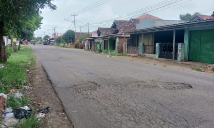 Jalan Rusak Tak Kunjung Diperbaiki, Warga Bakal Demo Pemkab Karawang dan PLTGU