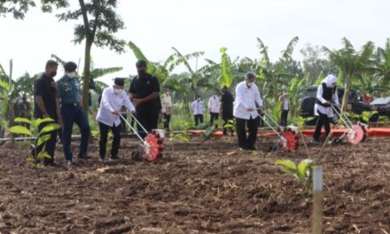 Kunjungi Purwakarta, Wapres Tinjau Lokasi Program Integrated Farming