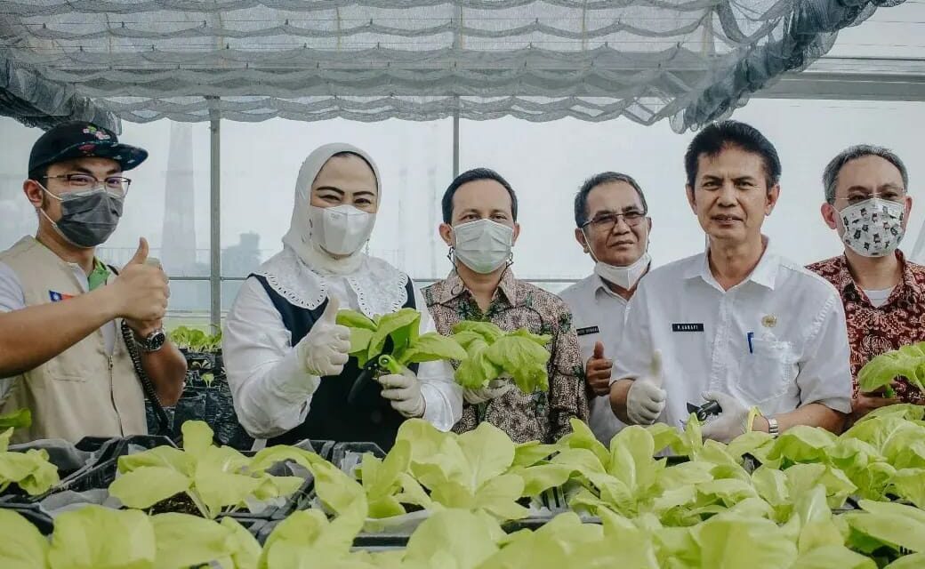 Melalui Green House, Pemkab Karawang Dorong Swasembada Sayuran