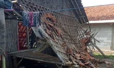 Prihatin! Rumah Warga Ambruk di Desa Makmurjaya, Dinas Terkait Diminta Respon Cepat