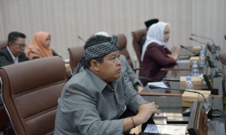 Legislatif Sentil Cellica Soal Perda Tanpa Perbup dan Kemalasan Kepala OPD Hadiri Rapat Banggar