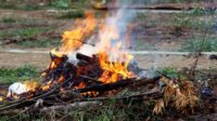 Bakar